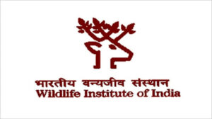 Wildlife Institute Of India Jobs Recruitment Year-2023 