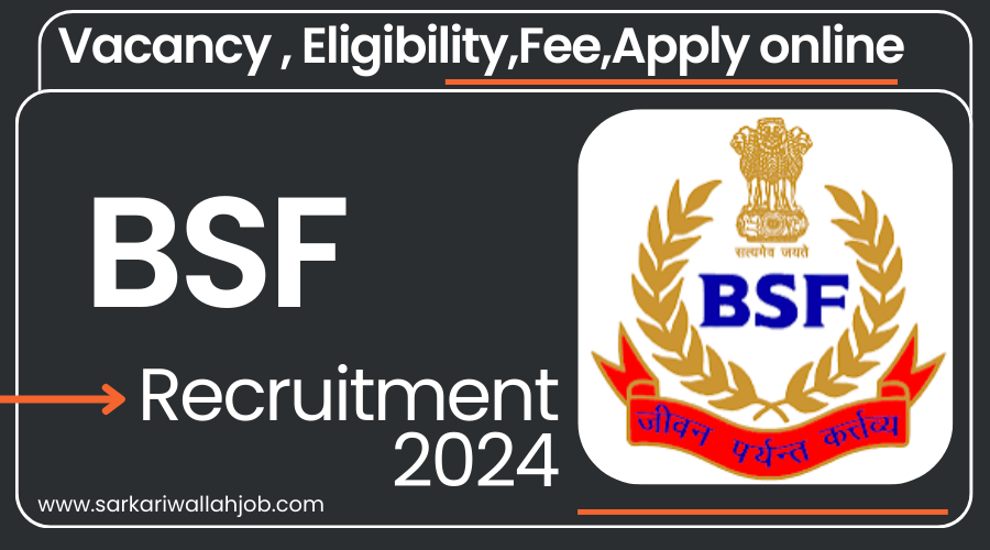 BSF Group B, C Recruitment 2024