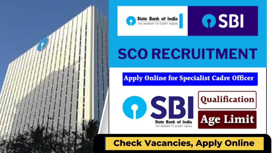 SBI SCO Recruitment 2024